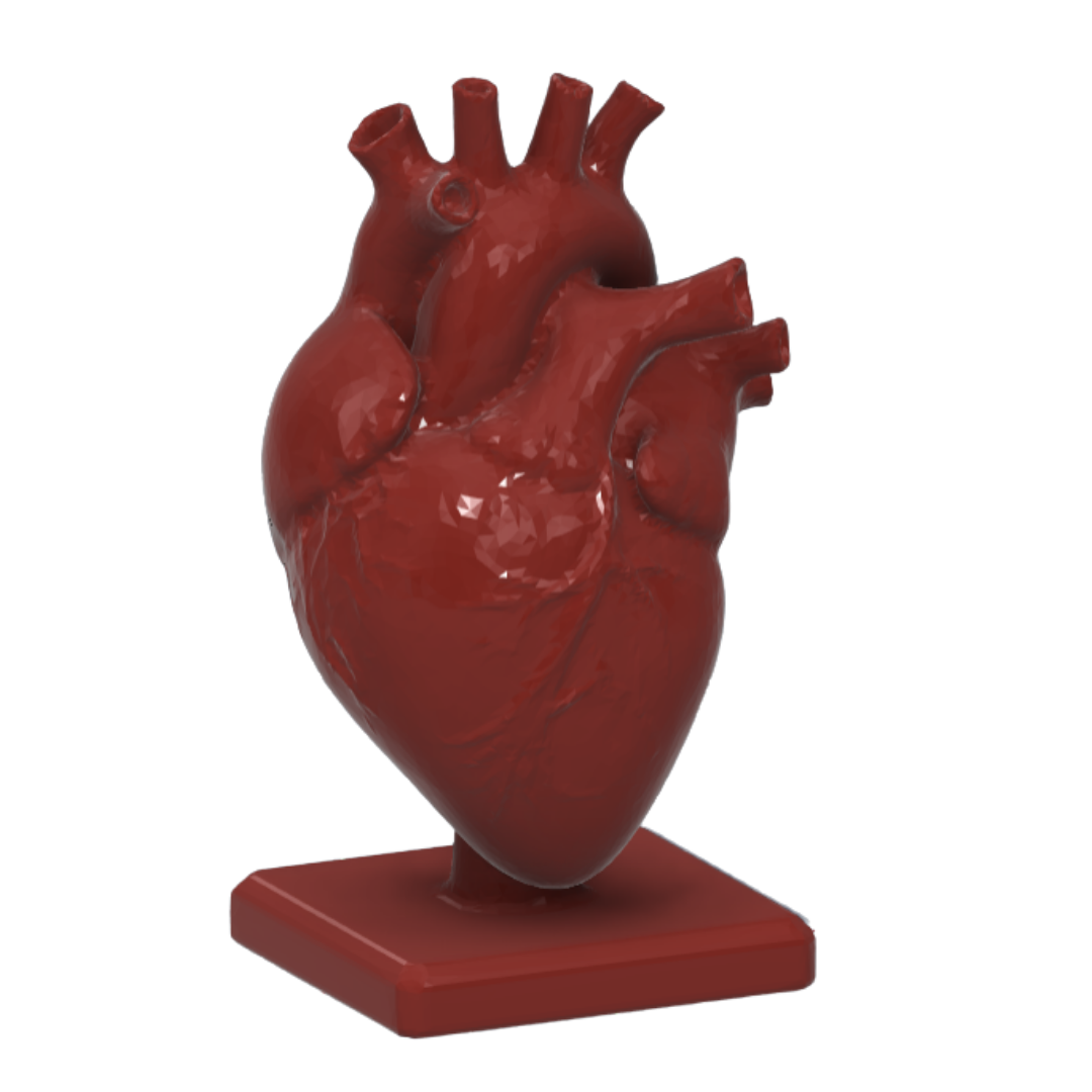 HemoLoop 3D Core